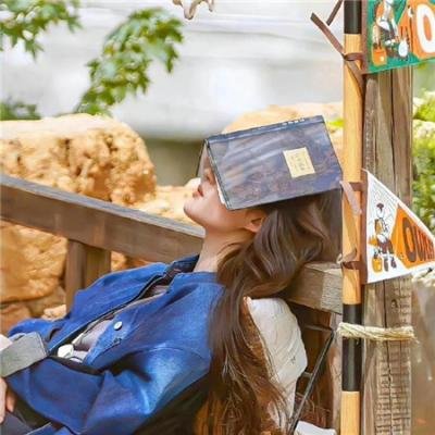 乌代布林王公的古怪私人院