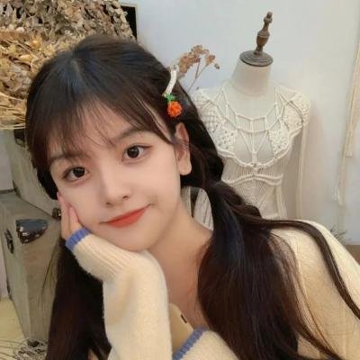 伊丽莎白镇